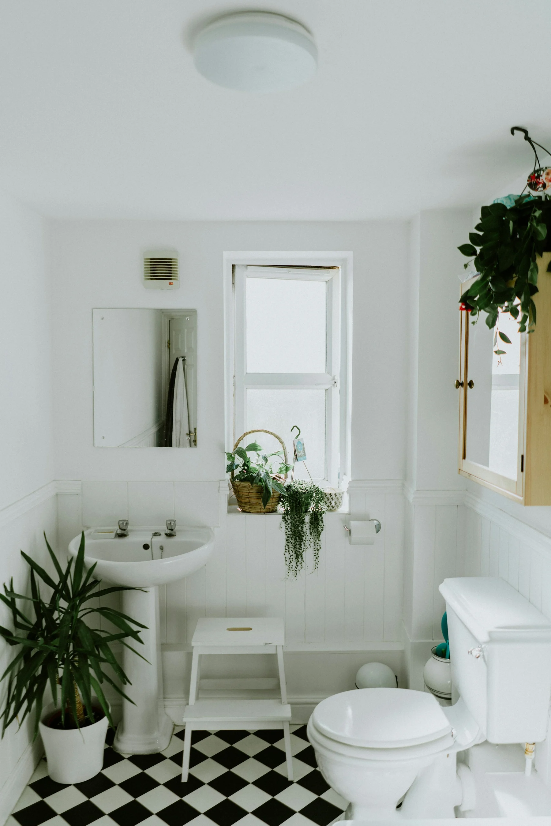 Modern bathroom with a glass walk-in shower and freestanding tub
